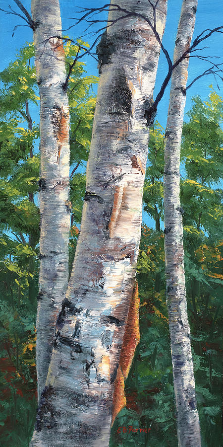 Birch on Blue Sky Painting by Elaine Farmer
