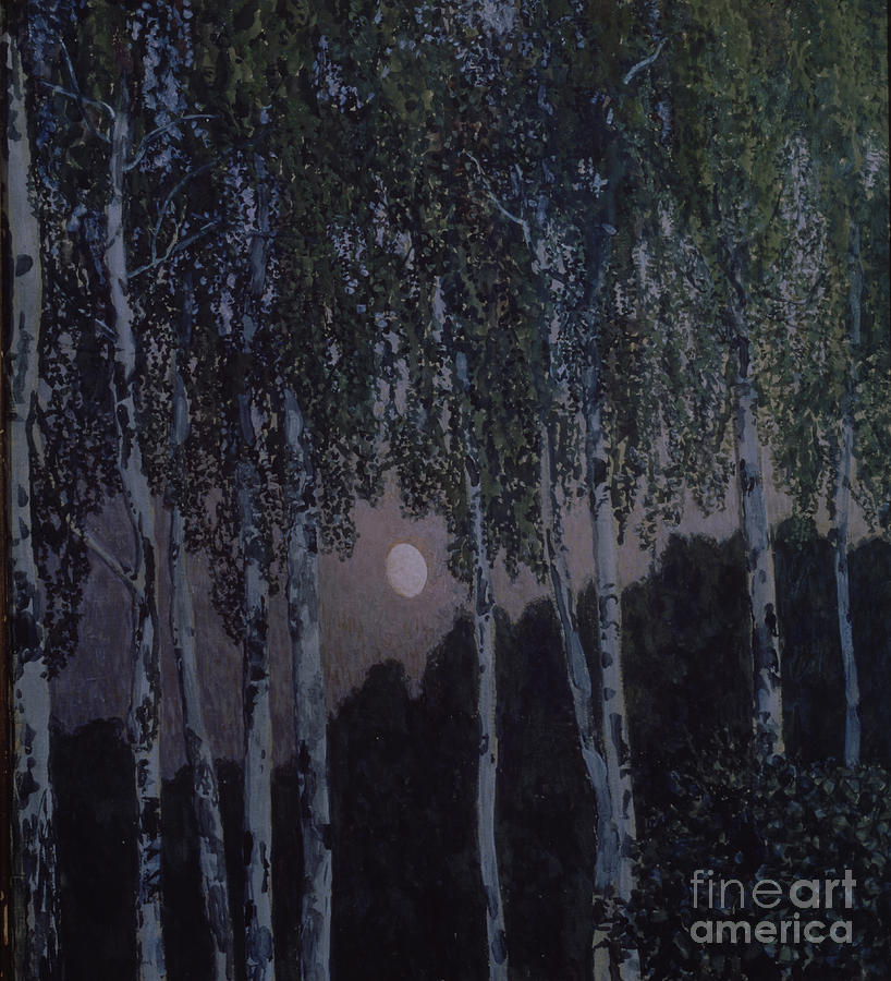 Birches, 1908-1910. Found Drawing by Heritage Images