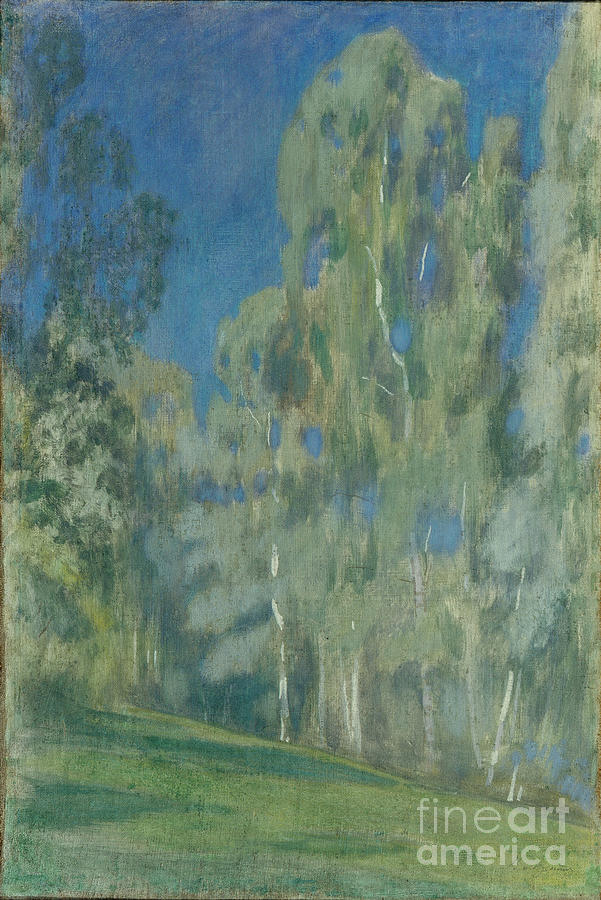 Birches At Midday, 1903. Artist Drawing by Heritage Images