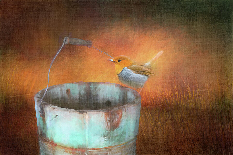 Bird and Bucket Digital Art by Terry Davis