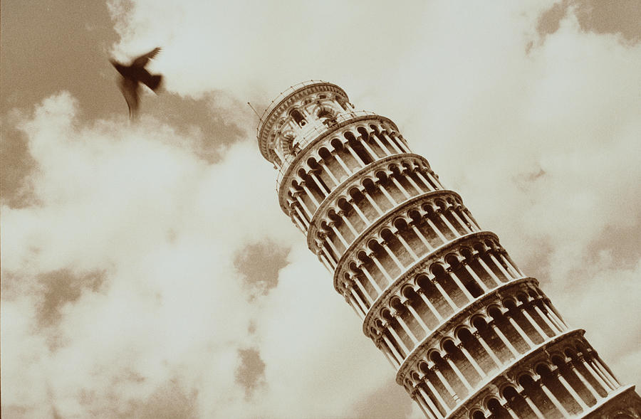 Bird And Leaning Tower Of Pisa Photograph by Kritina Lee Knief