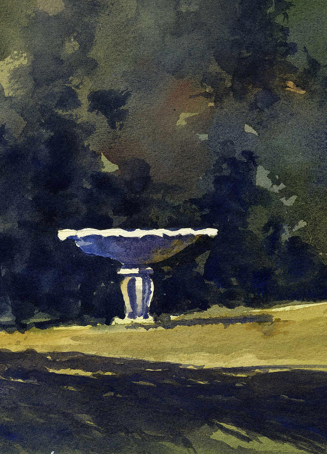 Bird Bath by James Faecke Bird Bath by James Faecke