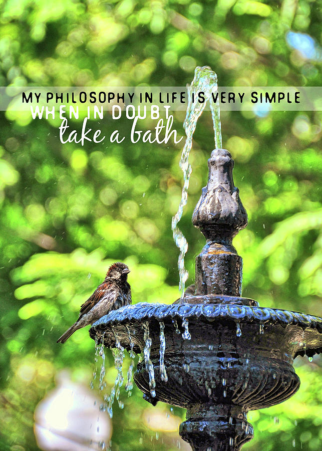 BIRD BATH quote Photograph by JAMART Photography