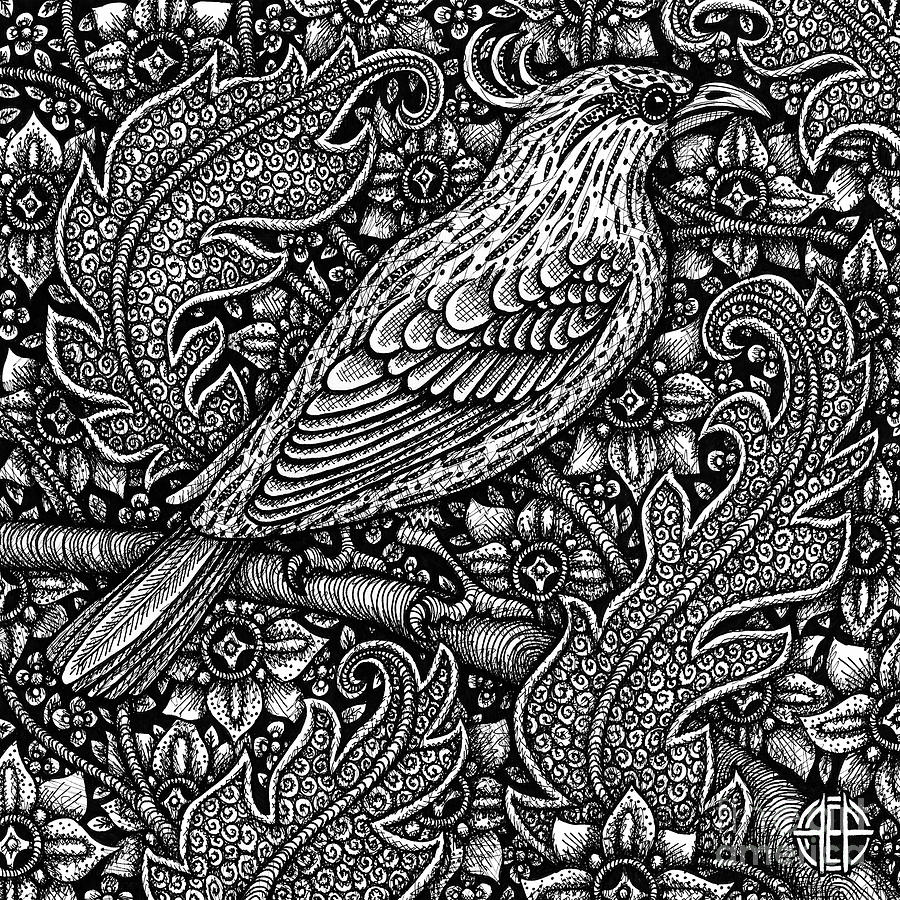 Pen Drawings Of Birds