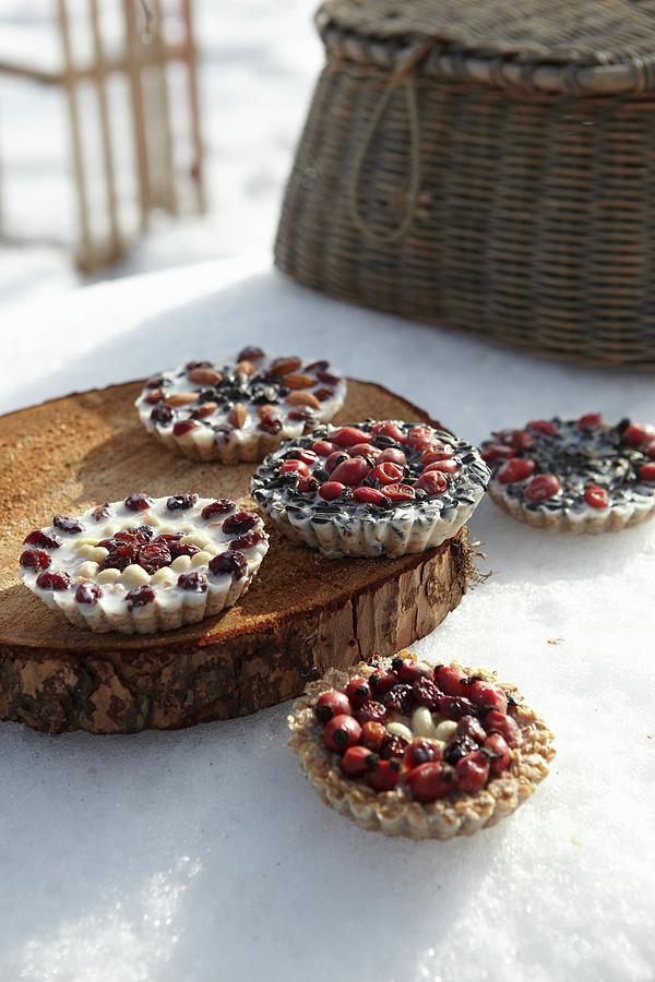 Bird Cakes: Cakes Made From Bird Food, Berries And Almonds Photograph by Greenhaus Press