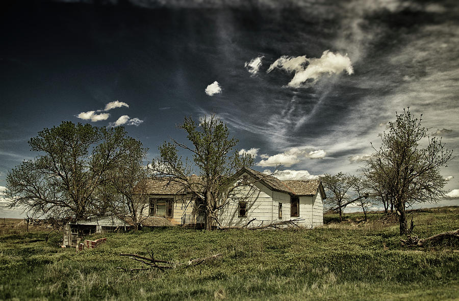 Bird City, KS 1 Photograph by Earth In Repose Fine Art America