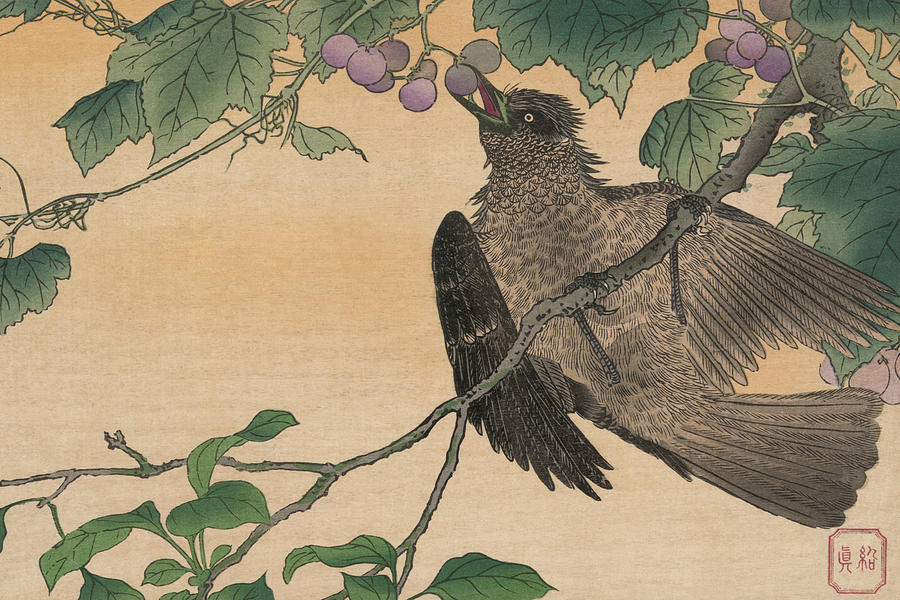 Bird Eating a Grape Painting by Kuwagata Keisai
