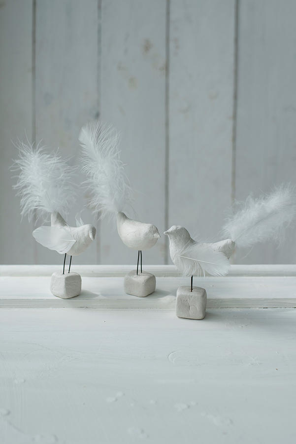 Bird Figurines With White Tail Feathers Photograph by Patsy&christian
