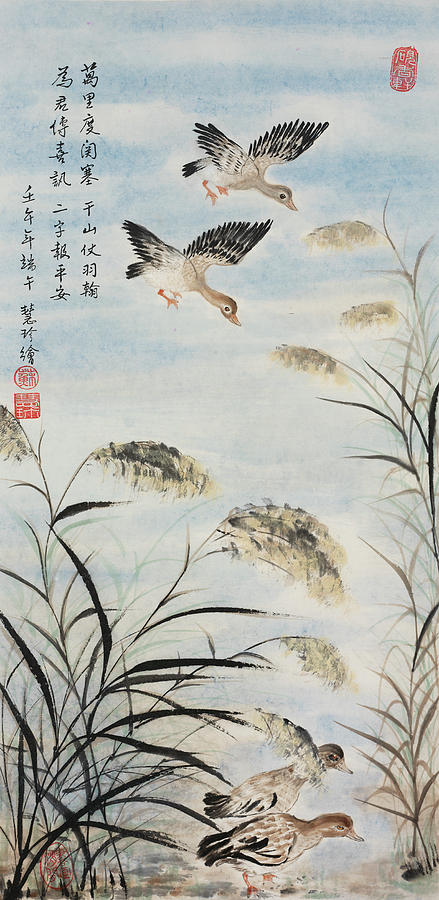 Ducks Among Lu Wei  Painting by Jenny Sanders