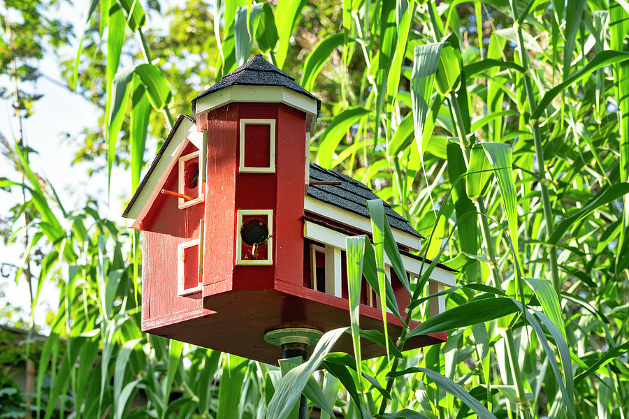 Bird House, Clark Botanic Garden, Ny Digital Art by Laura Zeid