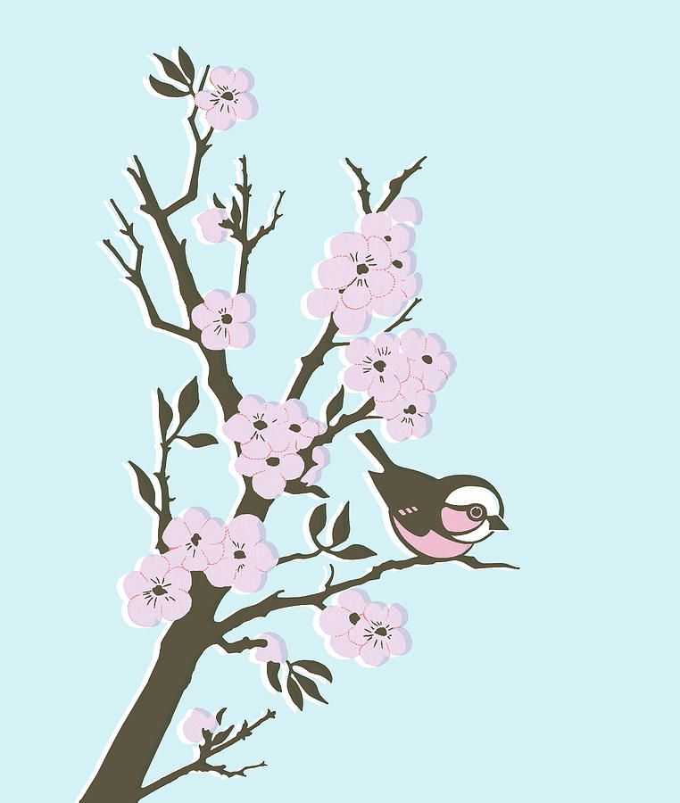 Nature Drawing - Bird in Cherry Tree by CSA Images