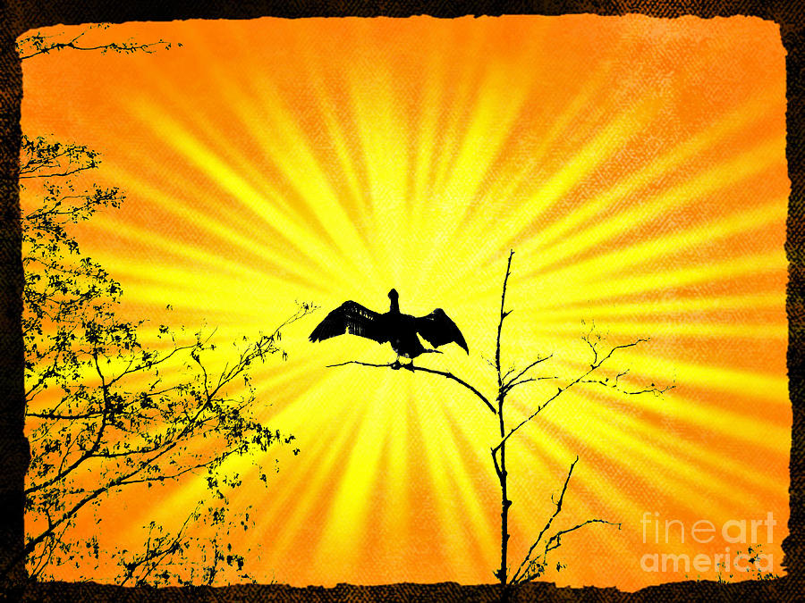 Bird in Sun by Jurgen Huibers Bird in Sun by Jurgen Huibers