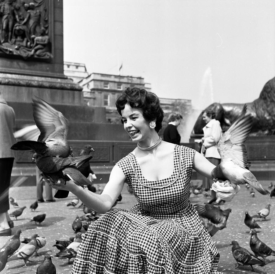 Bird In The Hand Photograph by Bert Hardy