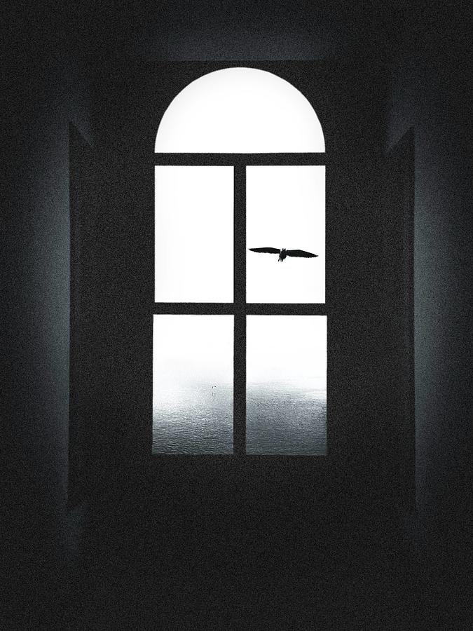 Bird In The Window Photograph by Selami Tas
