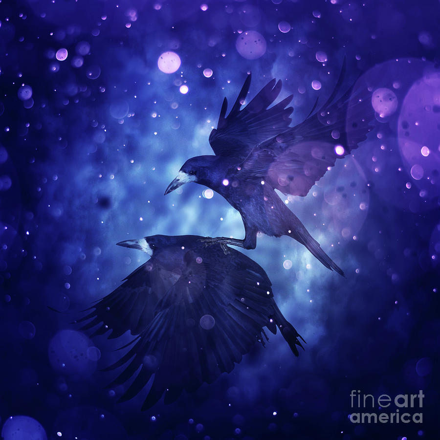 Bird Kingdom  3 Digital Art by Johan Lilja