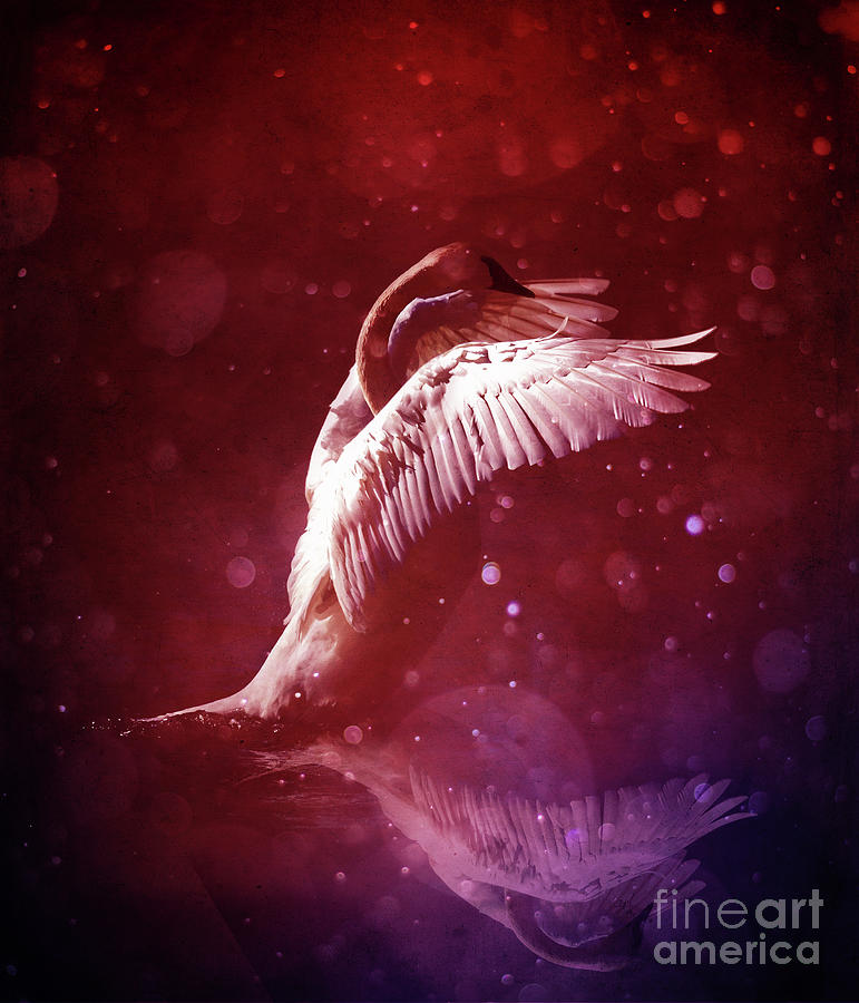 Swan Digital Art - Bird Kingdom 7 bloodline by Johan Lilja