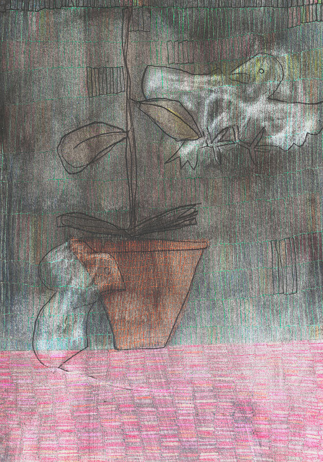 Bird, Mouse and Plant Drawing by Edgeworth Johnstone