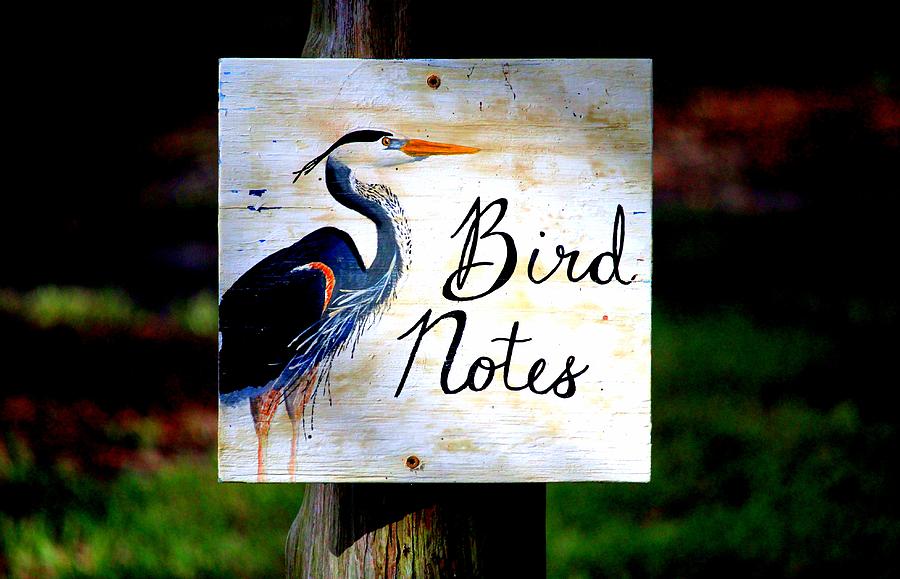 Bird Photograph - Bird Notes Sign by Cynthia Guinn Bird Photograph - Bird Notes Sign by Cynthia Guinn