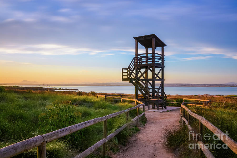 Bird Observation Tower by Fine Art On Your Wall Bird Observation Tower by Fine Art On Your Wall