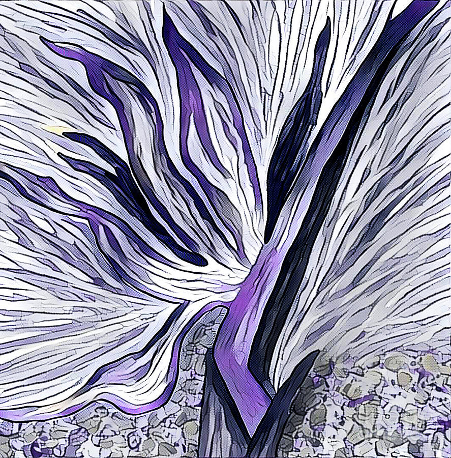 Bird Of Paradise 3 by Toni Somes Bird Of Paradise 3 by Toni Somes