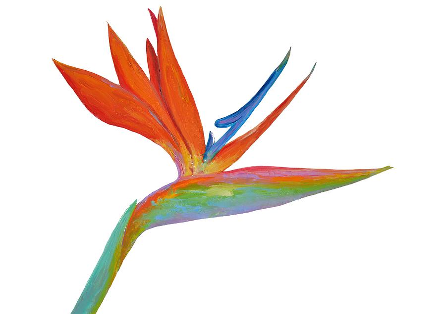 Bird of Paradise flower Painting by Jan Matson
