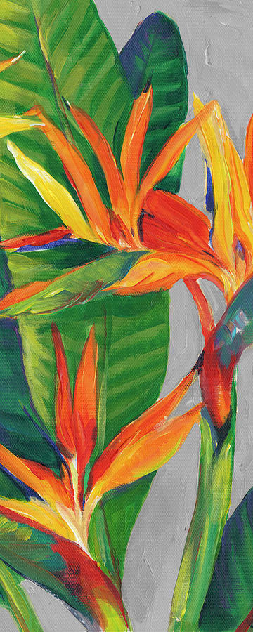 Bird Of Paradise Triptych II Painting by Tim Otoole