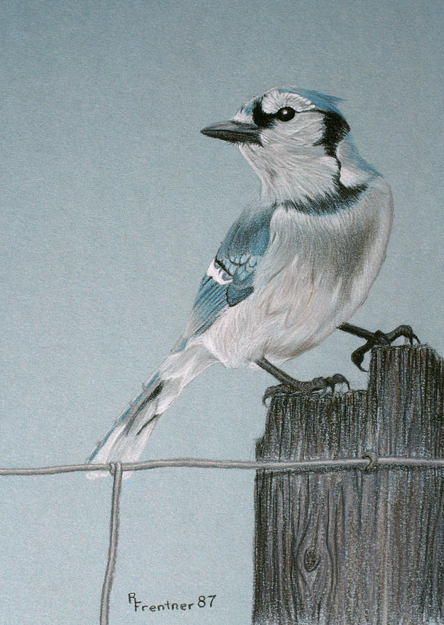 Bird On A Post Painting by Rusty Frentner Bird On A Post Painting by Rusty Frentner