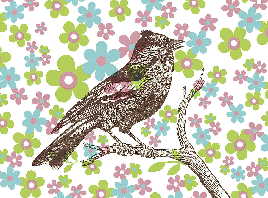 Nature Drawing - Bird on Floral Background by CSA Images