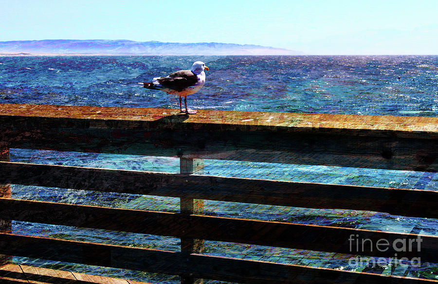 Bird on Pier Photograph by Katherine Erickson