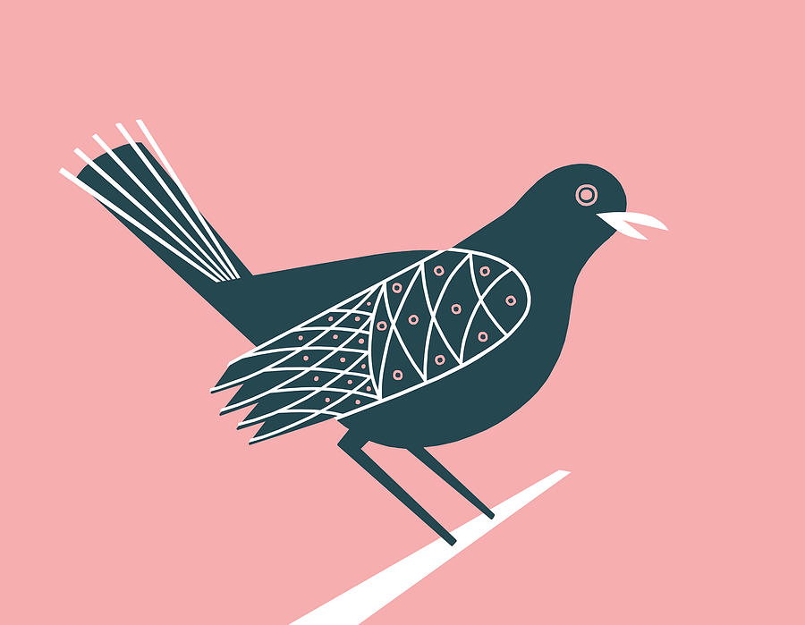 Abstract Drawing - Bird on Pink Background by CSA Images