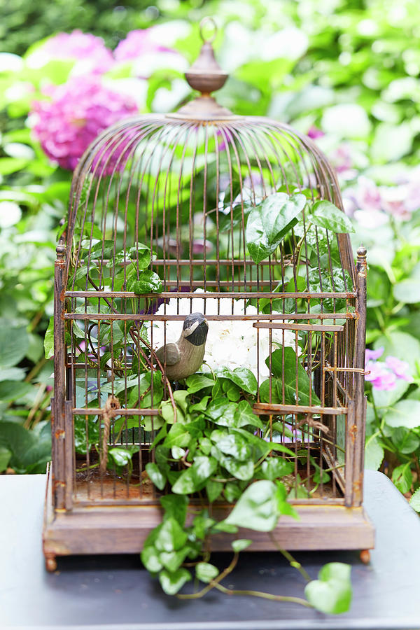 Bird Ornaments In Bird Cage Decorated With Ivy Photograph by Sven C. Raben