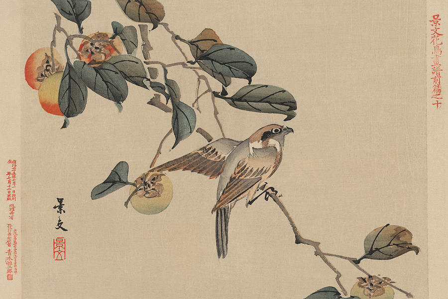 Bird perched on a branch from a fruit persimmon tree. Painting by Keibun Matsumura