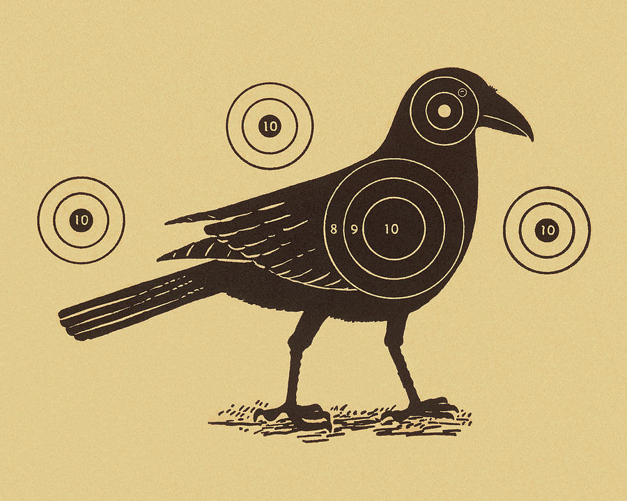 Blackbird Drawing - Bird Target by CSA Images