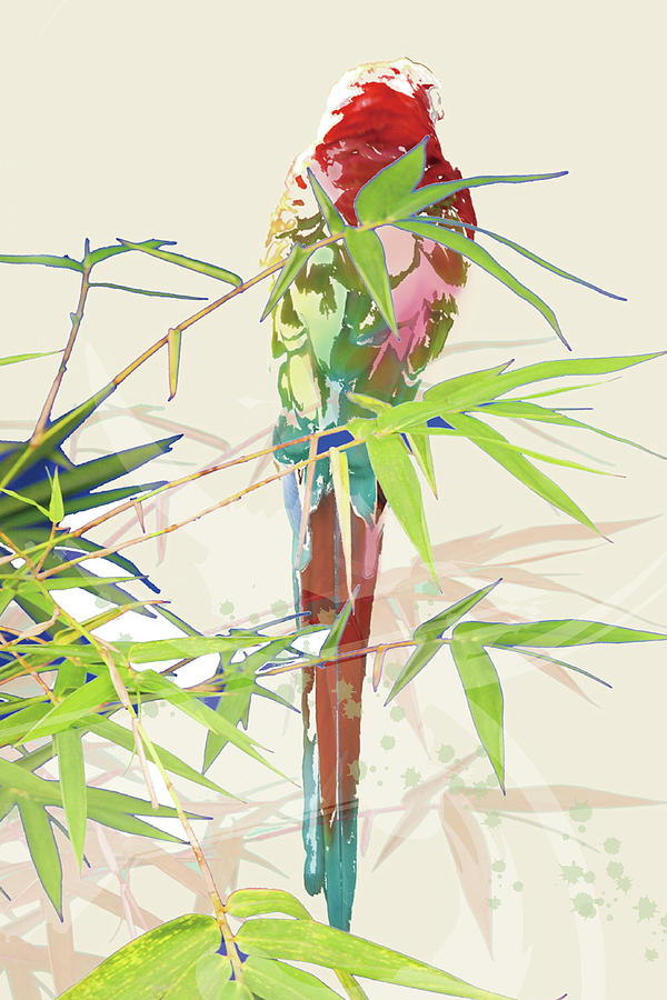 Bird With Chinese Bamboo Leaves Digital Art by Meg Takamura