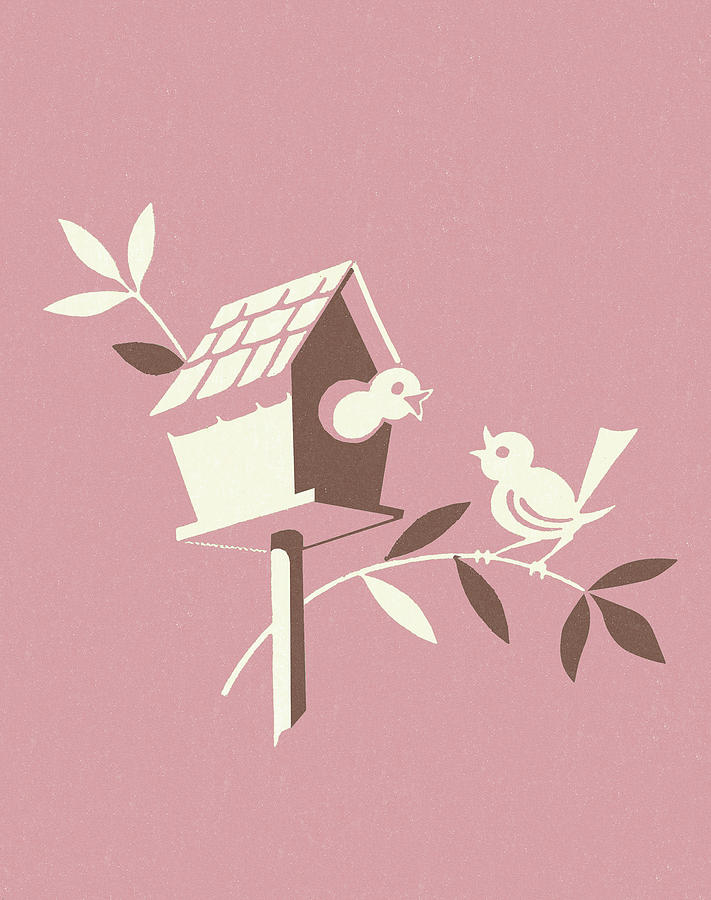 Nature Drawing - Birdhouse on Pink Background by CSA Images