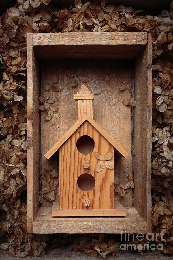 Birdhouse Still Life Photograph by Edward Fielding