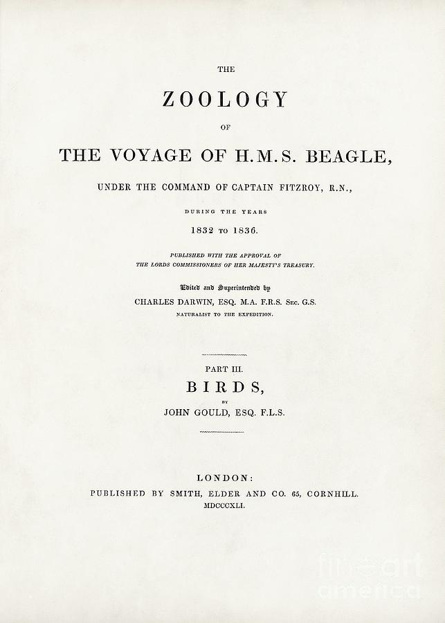 birds (1841) Photograph by Library Of Congress, Rare Book And Special Collections Division/science Photo Library