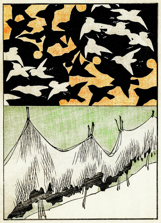Bird Painting - Birds and  Net - Japanese traditional pattern design by Watanabe Seitei
