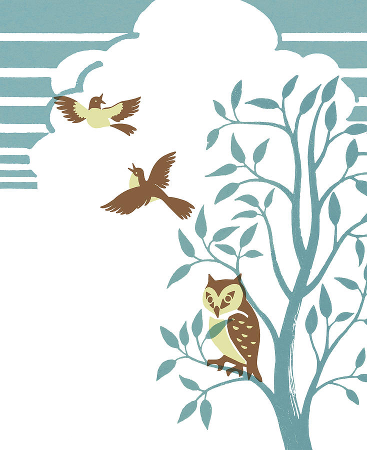 Nature Drawing - Birds and Owl in Tree by CSA Images