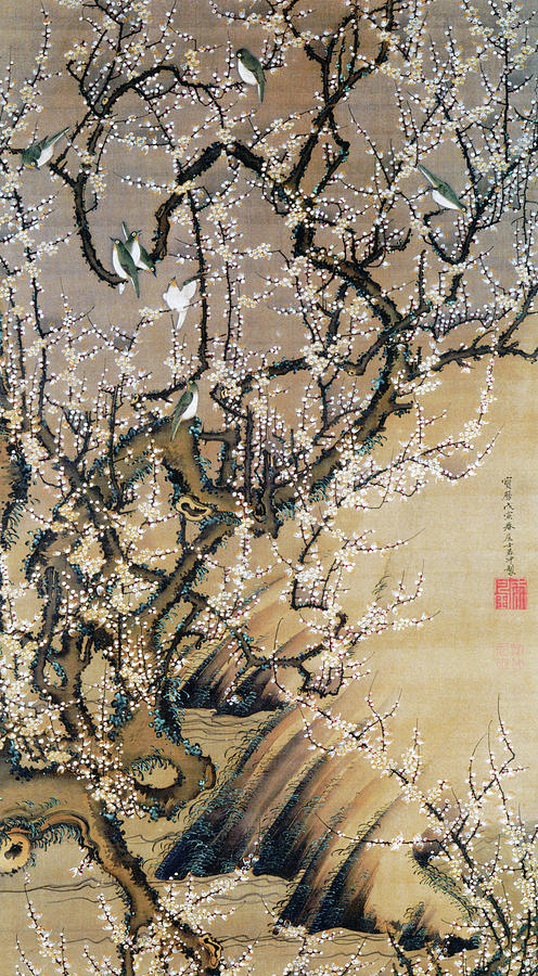 Bird Painting - Birds and Plum blossoms - Digital Remastered Edition by Ito Jakuchu
