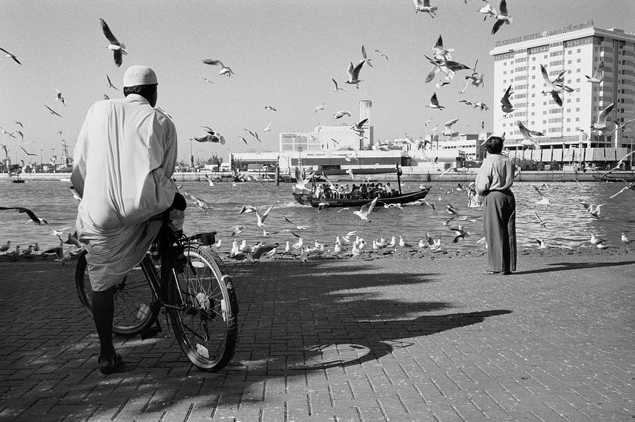 Birds And Watcher, Dubai Creek, Dubai Photograph by Walter Bibikow