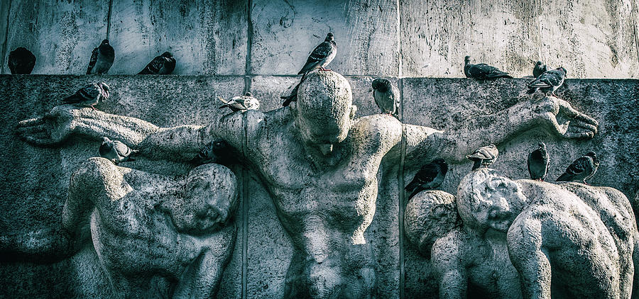 Birds As Masters by George Grigoriadis Birds As Masters by George Grigoriadis