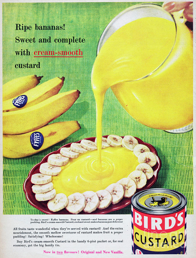 Birds Custard Bananas Photograph by Picture Post