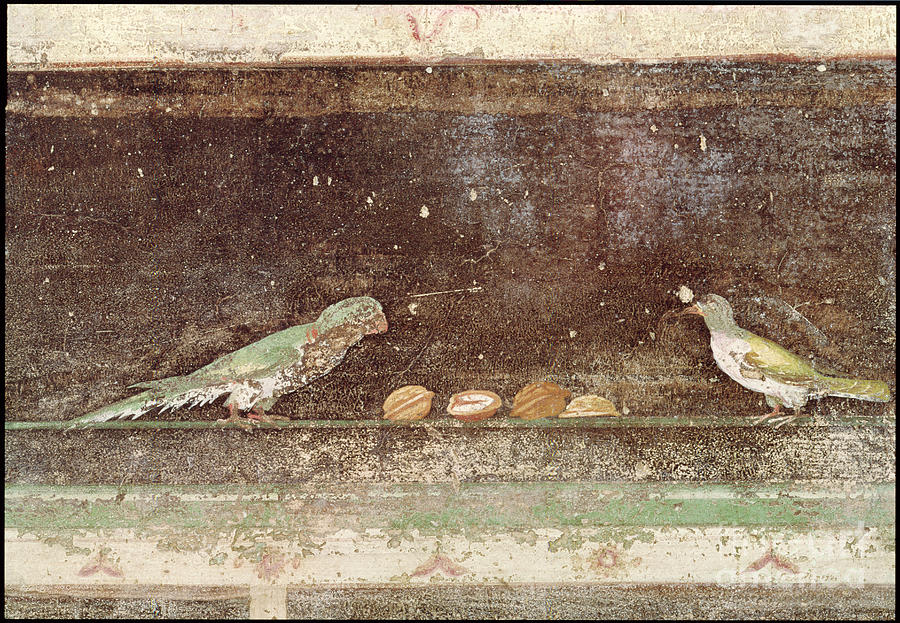 Music Painting - Birds Eating Nuts, Detail From A Tablinium Decorated With Egyptian-style Paintings, C.27-14 Bc by Roman