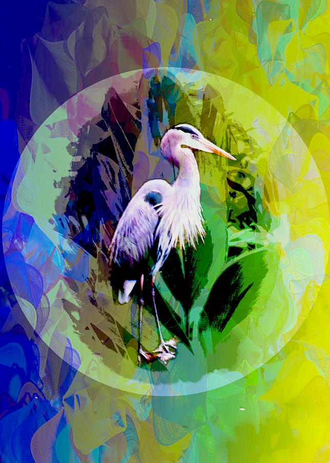 Birds Eye View  Digital Art by Don Wright