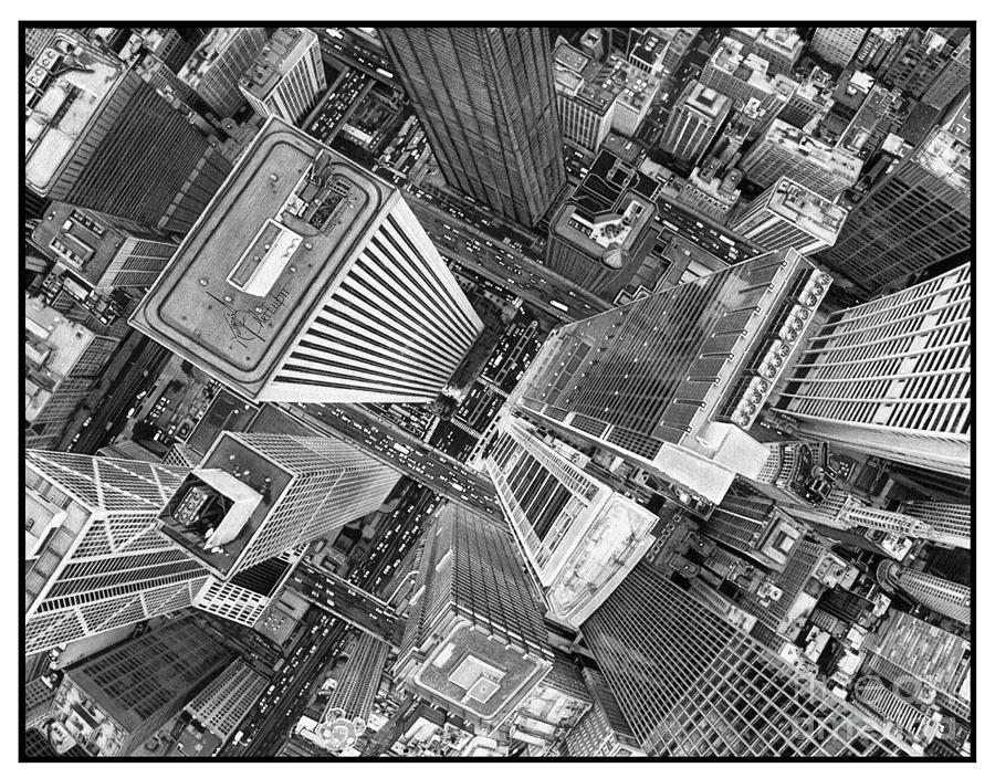 birds eye view photography black and white