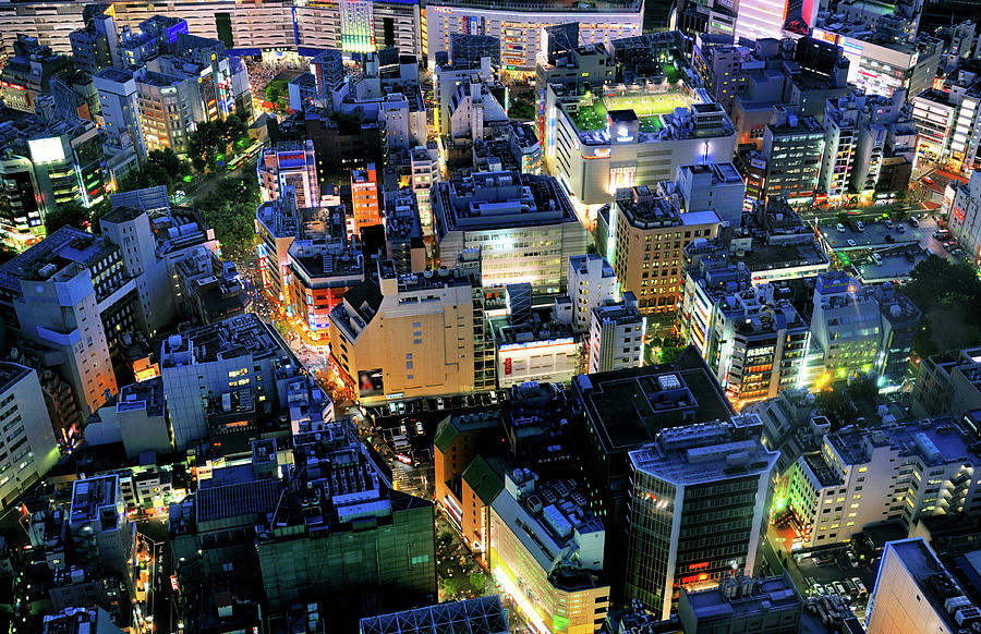 Birds-eye View Tokyo At Twilight by Vladimir Zakharov