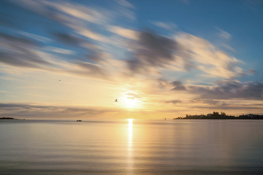 Birds flying at goden hour at Anse Vata Bay in New Caledonia by Daniela Constantinescu Birds flying at goden hour at Anse Vata Bay in New Caledonia by Daniela Constantinescu