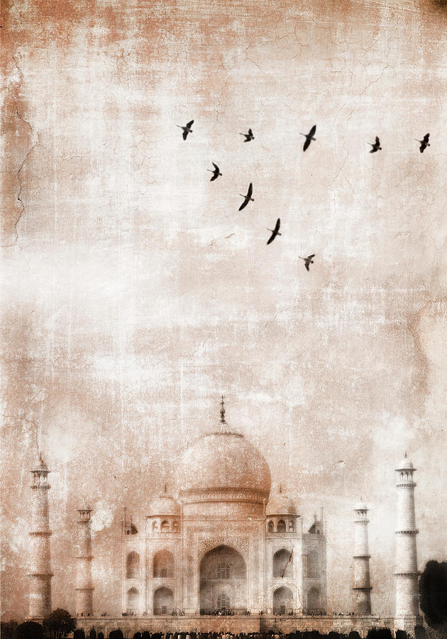 Birds Flying Over Taj Mahal Photograph by Grant Faint