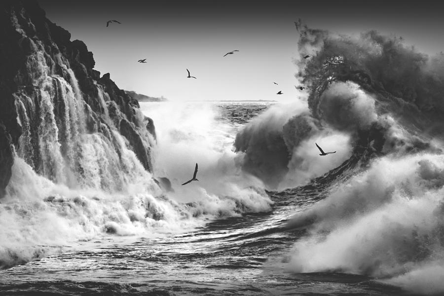 Birds In The Storm (part 10) Photograph by Paolo Lazzarotti Fine Art America